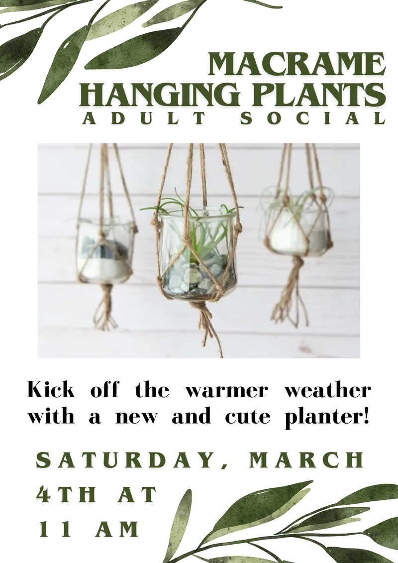 Macramé Hanging Plant